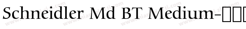 Schneidler Md BT Medium字体转换